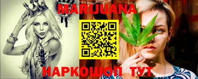 молекула духа Будённовск
