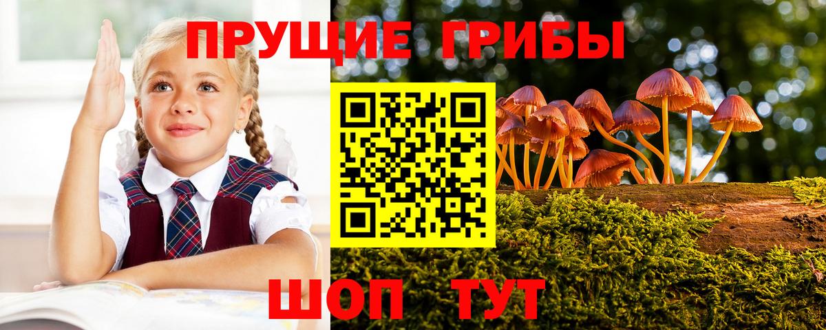 Псилоцибиновые грибы Psilocybe  Вход с VPN  Обь 