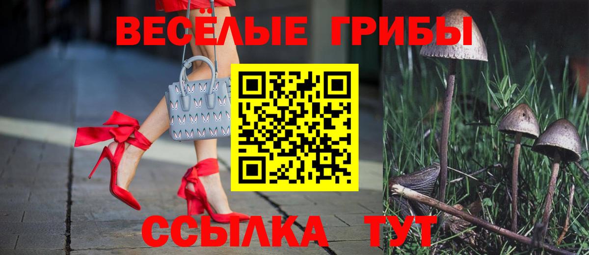 Галлюциногенные грибы ЛСД Обь